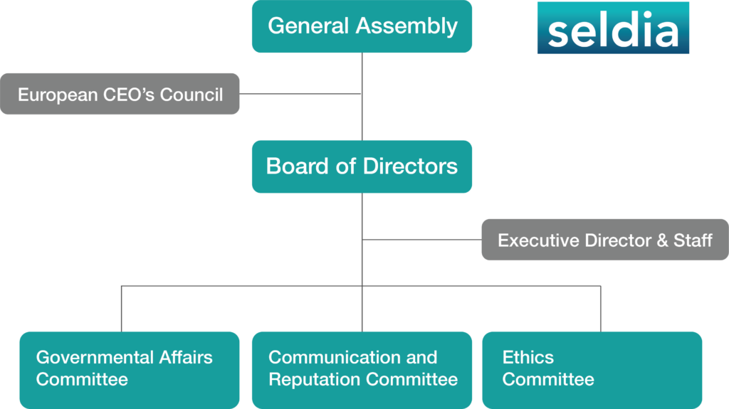 Seldia Organisation Chart